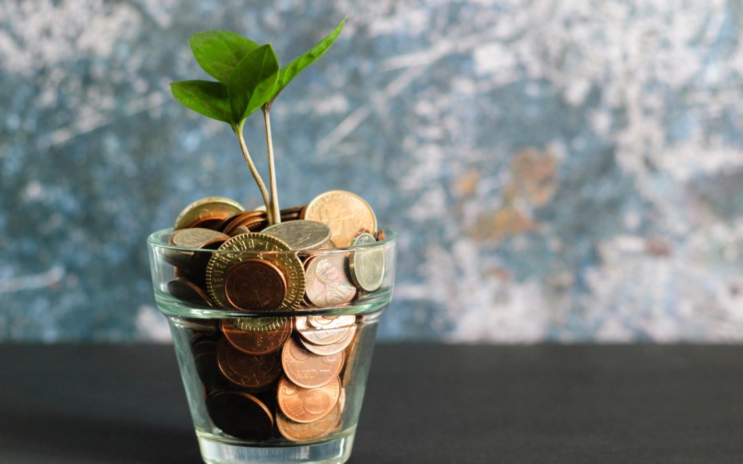 Plant in a jar of money Fundingo Salesforce Financial Services