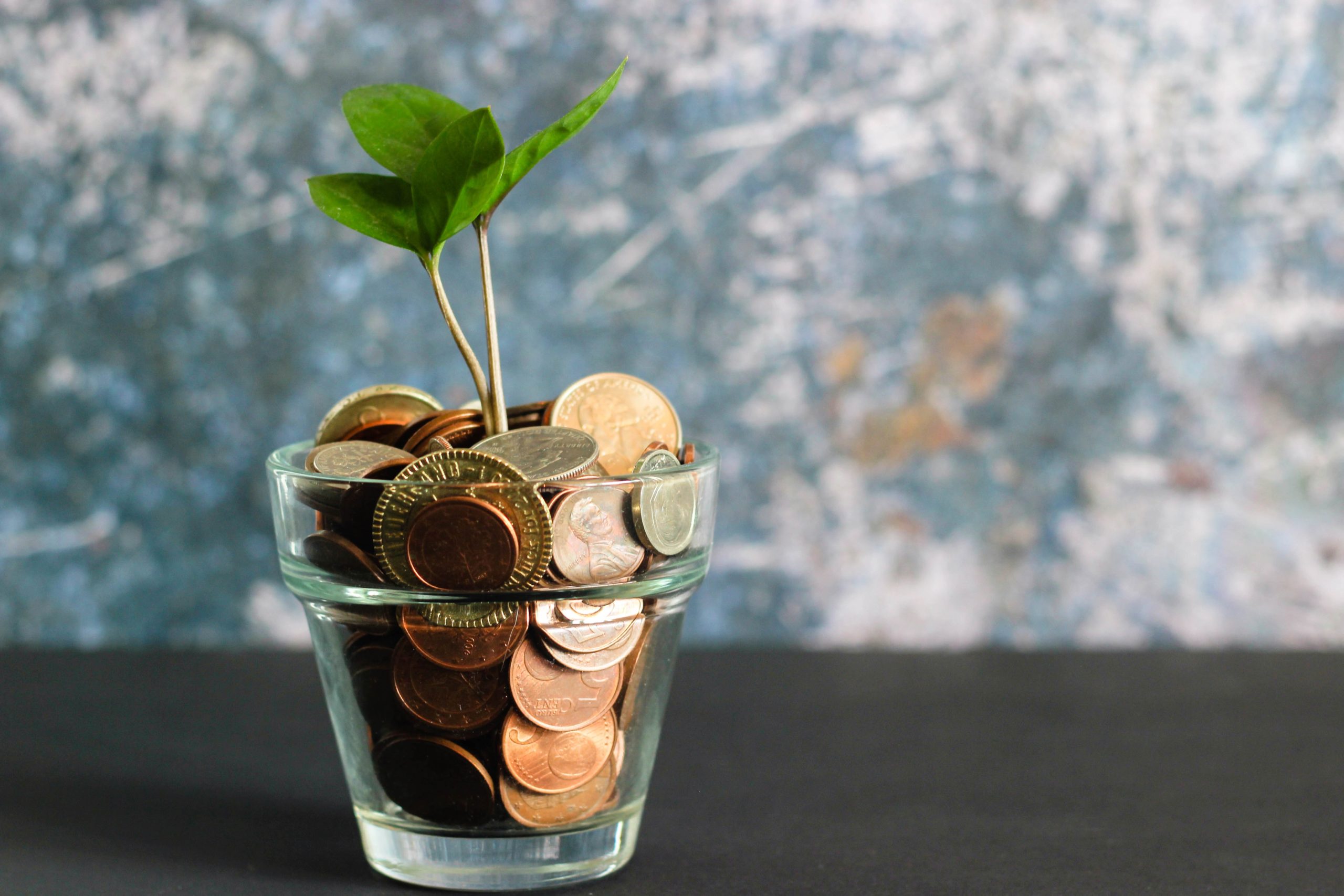 Plant in a jar of money Fundingo Salesforce Financial Services
