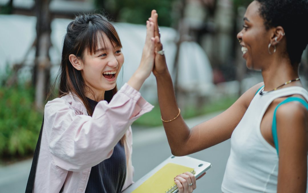 Community Development Financial Institution five working together CDFI high five loan management software