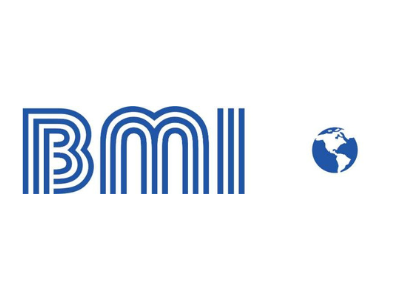 BMI lexisnexis salesforce risk management solutions