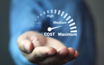 Determining the True Cost of CRM Ownership