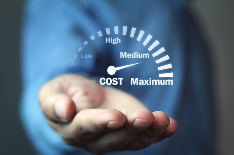 Determining the True Cost of CRM Ownership